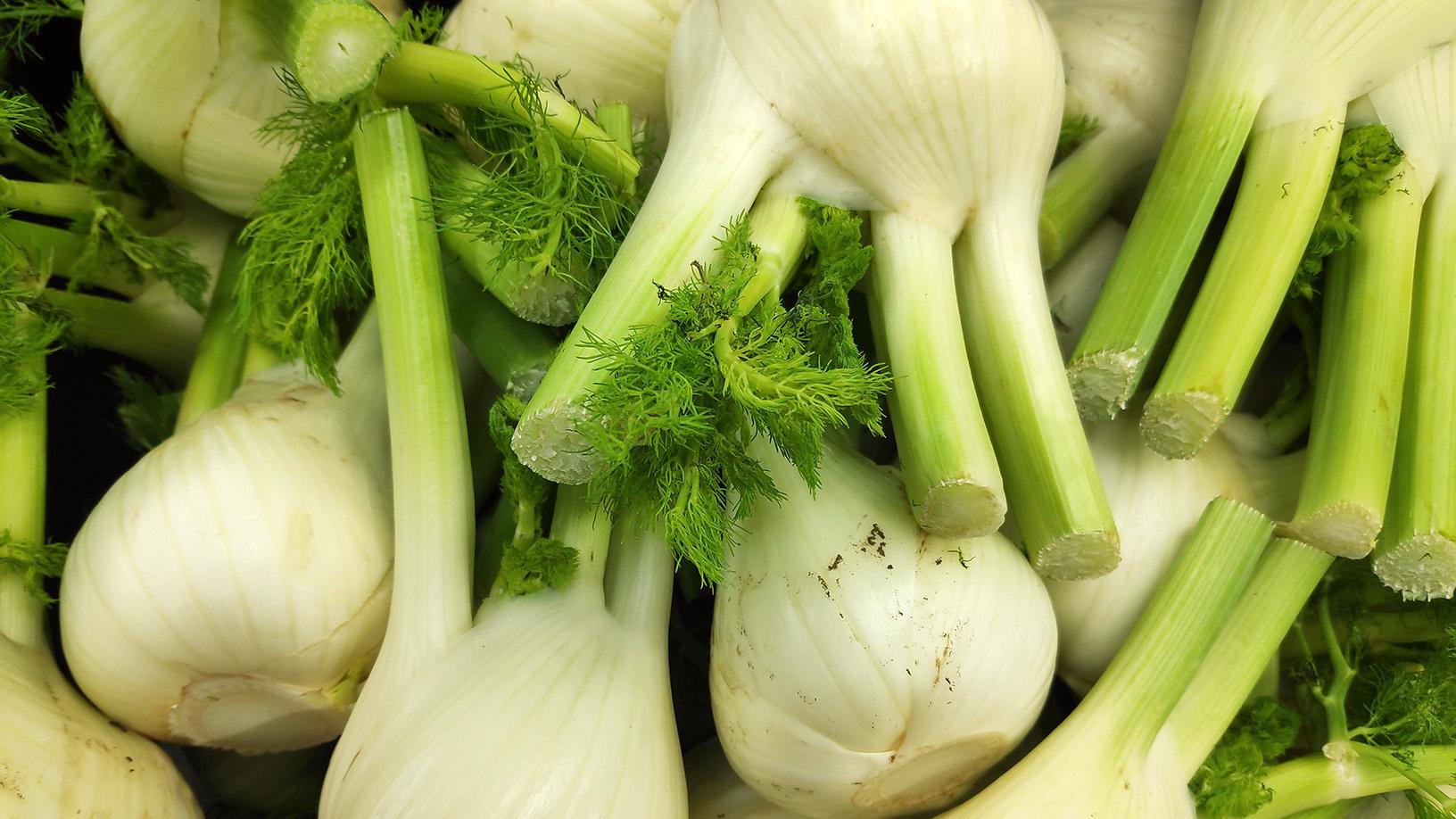 Gestapelter Fenchel in Großaufnahme, die weißen Knollen und grünen Blattansätze klar erkennbar