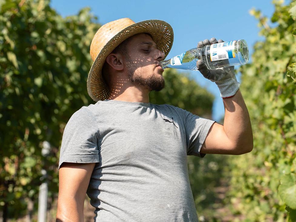 Mężczyzna stoi w winnicy między rzędami zielonych winorośli. Ma na sobie szeroki kapelusz przeciwsłoneczny i robocze ubrania. W ręku trzyma butelkę z wodą i pije z niej, robiąc krótką przerwę od pracy.