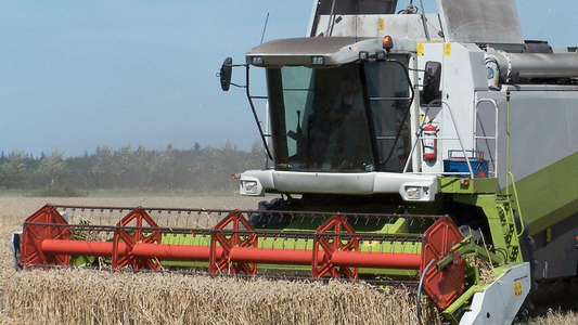 Mähdrescher bei der Ernte