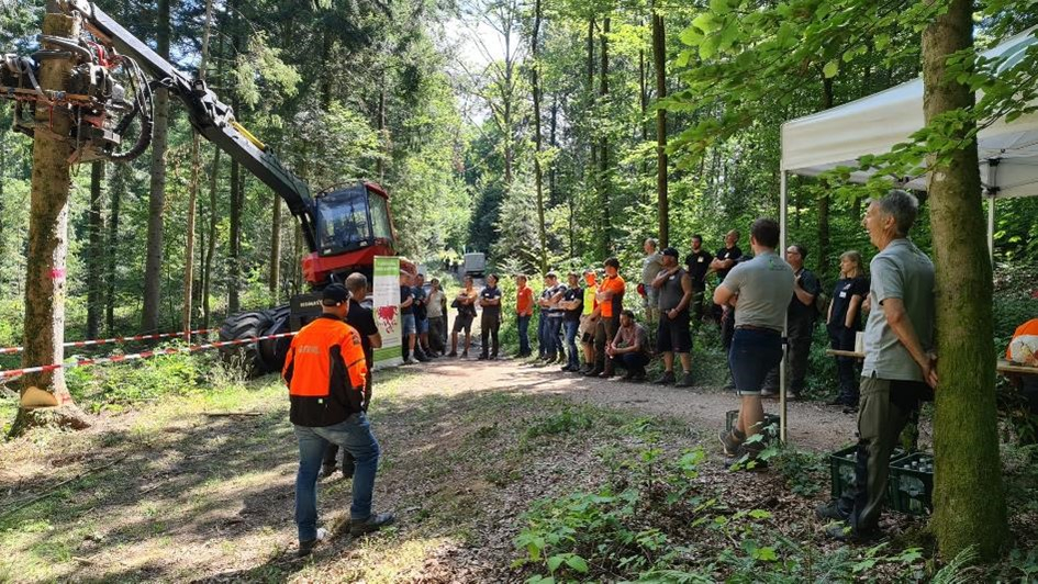Vergrößerung des Bildes für Ein Mann läuft auf eine Ansammlung von Menschen im Wald zu, an der Seite steht ein Kran zur motormanuellen Fällung..