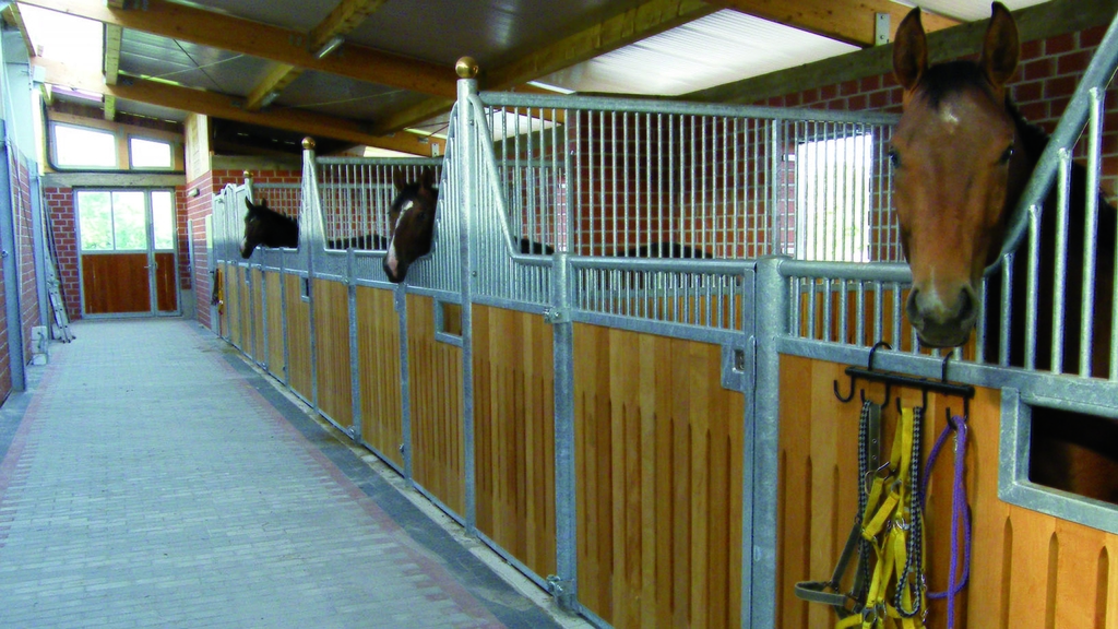 Vergrößerung des Bildes für .