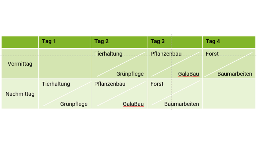 Vergrößerung des Bildes für Grün hinterlegte Tabelle mit vier Spalten („Tag 1“ bis „Tag 4“) und zwei Zeilen („Vormittag“, „Nachmittag“). In den Zellen sind Tätigkeitsbereiche eingetragen, teils diagonal getrennt: Tierhaltung, Pflanzenbau, Grünpflege, GalaBau, Forst und Baumarbeiten. Die Einträge wechseln je nach Tag und Tageszeit..
