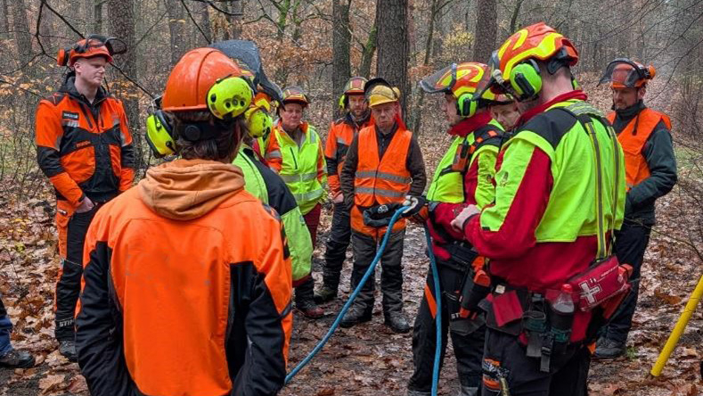 Vergrößerung des Bildes für Mehrere Waldarbeiter in vollständiger Arbeitskleidung stehen beisammen im Wald, ein Waldarbeiter referiert..