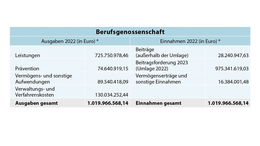 Vergrößerung des Bildes für Einnahmen und Ausgaben der landwirtschaftlichen Berufsgenossenschaft 2022.