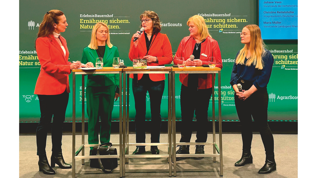 Vergrößerung des Bildes für .