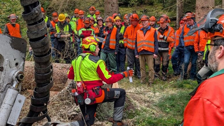 Vergrößerung des Bildes für Ein Waldarbeiter in vollständiger Arbeitskleidung kniet vor einem gefällten Baumstamm und referiert dazu vor vielen Waldarbeitern, ebenfalls in vollständiger Arbeitskleidung..