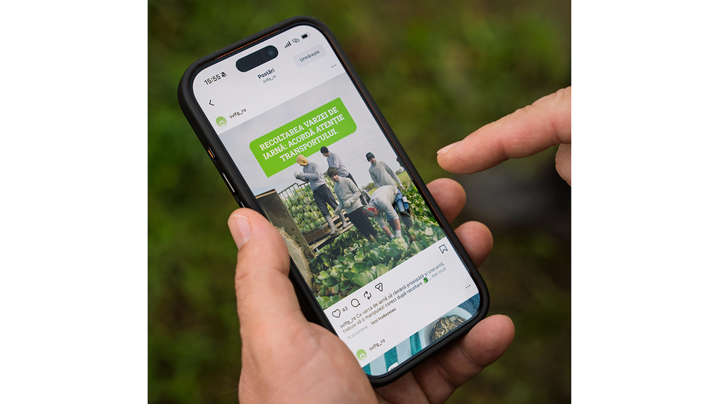 Vergrößerung des Bildes für Eine Hand hält ein Handy in der Hand, die Web-App ist hierzu geöffnet..