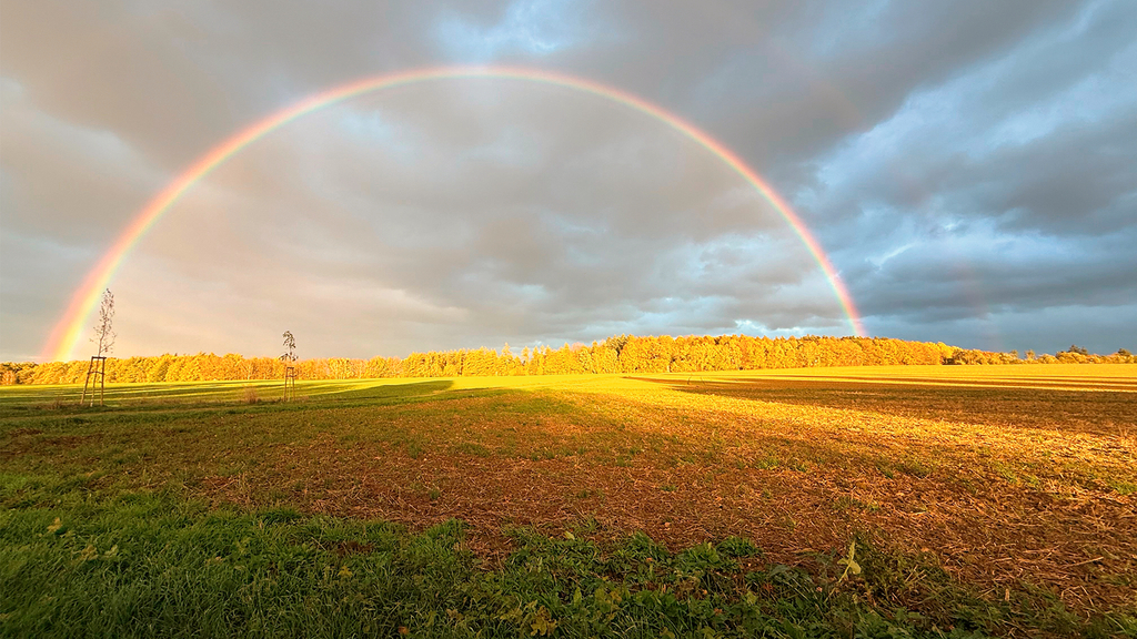 Vergrößerung des Bildes für Das Bild zeigt ein Feld nach der Ernte mit dunklen Wolken am Horizont und davor ist ein bildüberspannender Regenbogen abgebildet..