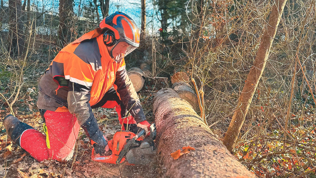 Vergrößerung des Bildes für Ein Motorsäge wird vom einem Menschen in Arbeitskleidung während des Sägevorgangs von Baumstämmen gehalten. Dabei kniet der Mensch auf der Erde, die rechte Hand des Menschen trägt eine Teilhandprothese..