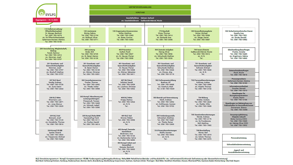 Vergrößerung des Bildes für Organigramm der SVLFG.