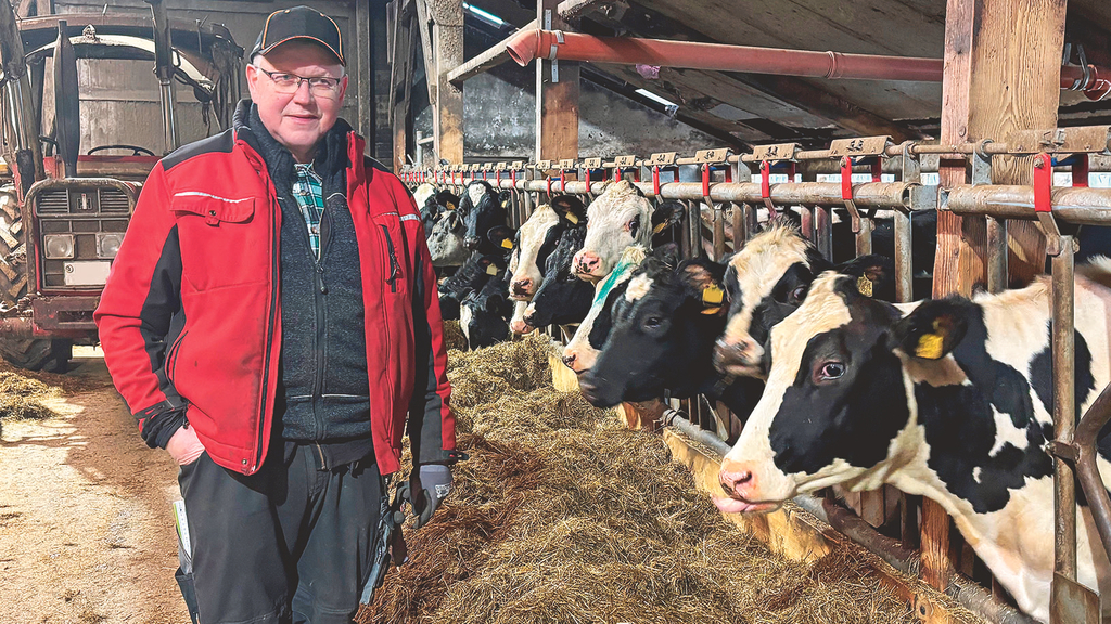 Vergrößerung des Bildes für Landwirt steht im Rinderstall. Im Hintergrund Rinder im Fangfressgitter fixiert..