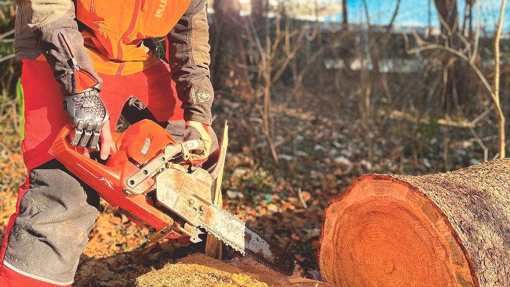 Vergrößerung des Bildes für Ein Motorsäge wird vom einem Menschen in Arbeitskleidung während des Sägevorgangs von Baumstämmen gehalten. Die rechte Hand des Menschen trägt eine Teilhandprothese.