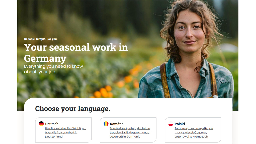 Vergrößerung des Bildes für .