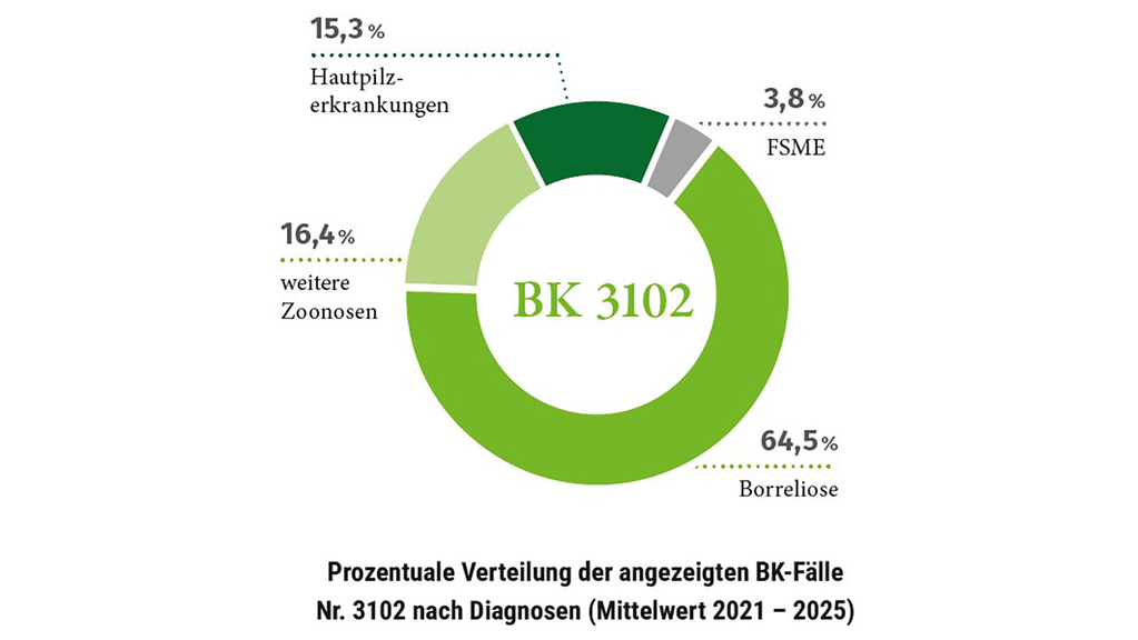 Vergrößerung des Bildes für Kreisdiagramm: 64,5 Prozent Borreliose, 16,4 Prozent weitere Zonosen, 15,3 Prozent Hautpilzerkrankungen, 3,8 Prozent FSME.
