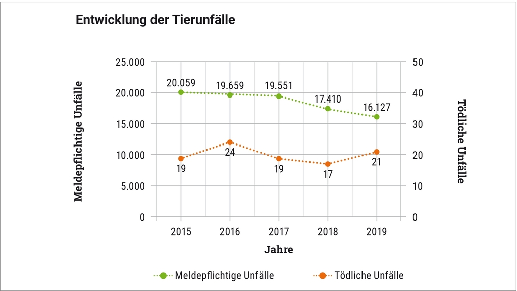 Vergrößerung des Bildes für .