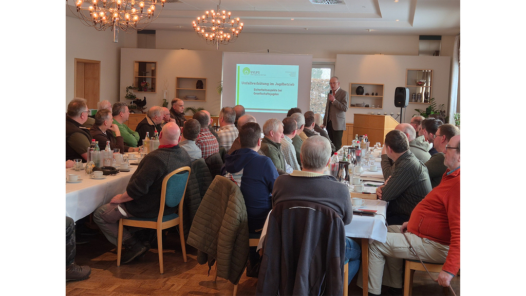 Vergrößerung des Bildes für .