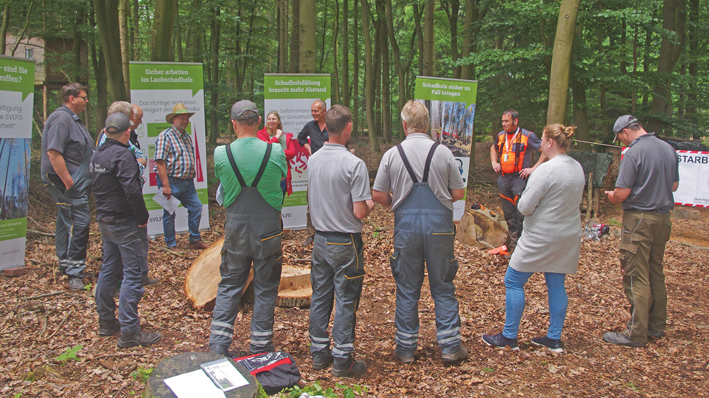 Vergrößerung des Bildes für mehrere Personen stehen in Arbeitskleidung im Wald in einem Kreis. In der Mitte ist ein Stockbild. Roll-ups sind aufgestellt..