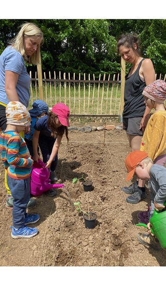 Vergrößerung des Bildes für .