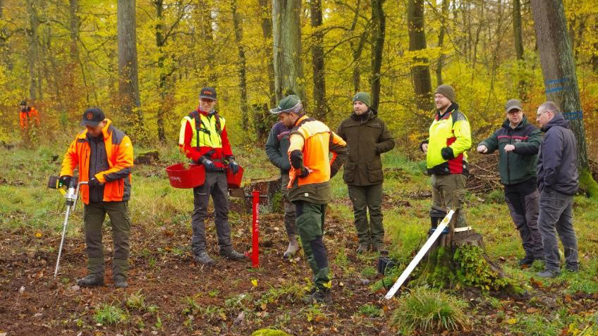 Vergrößerung des Bildes für Waldarbeiter in Arbeitskleidung zeigen Pflanzmethoden im Wald.