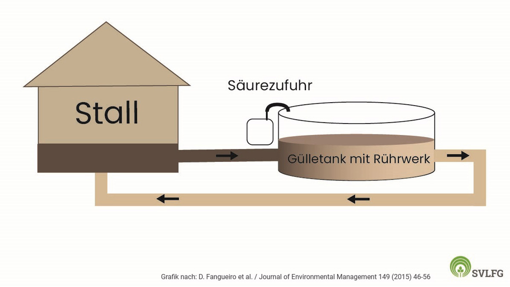 Vergrößerung des Bildes für schematische Darstellung einer Gülleanlage: Die Gülle vom Stall wird in den Gülletank geleitet, diesem wird Säure zugeführt.