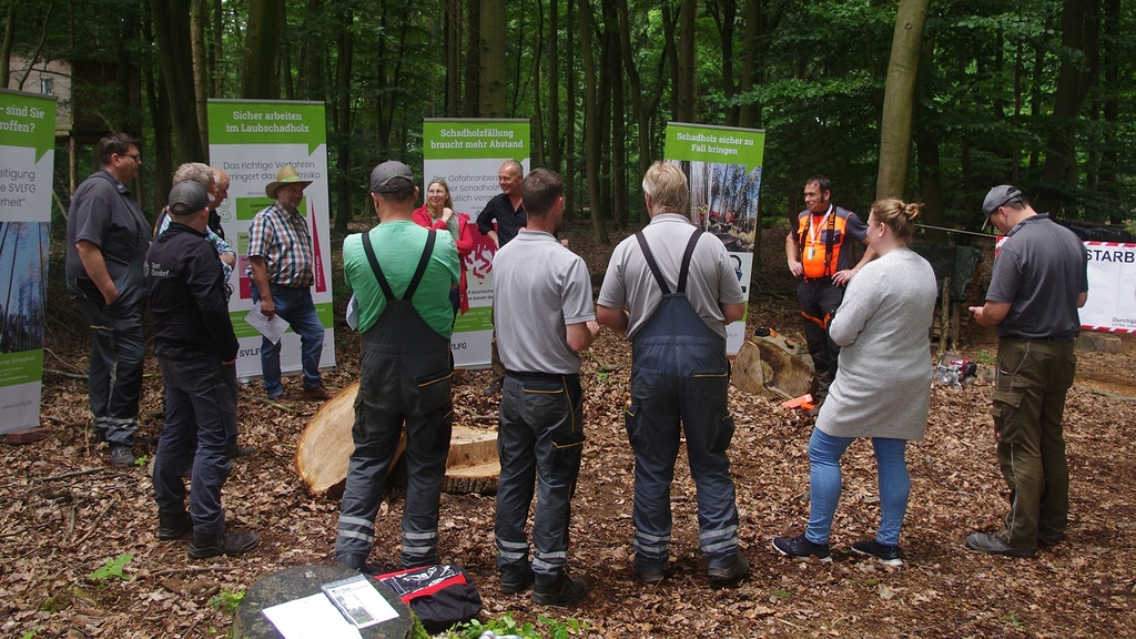 Vergrößerung des Bildes für 7 Personen stehen an einer Station und lernen etwas über den Fällkeil.
