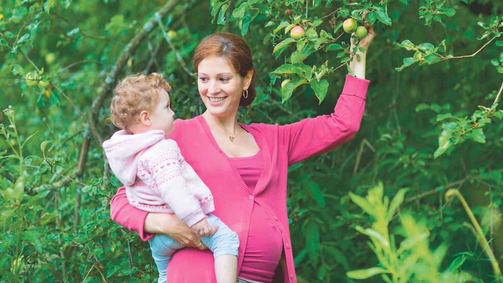 Vergrößerung des Bildes für Eine schwangere Frau hält ein Kleinkind auf dem Arm und greift ohne zu schauen nach hinten und pflückt dabei einen Apfel vom Baum. Dabei lächelt sie ihr Kind an. .