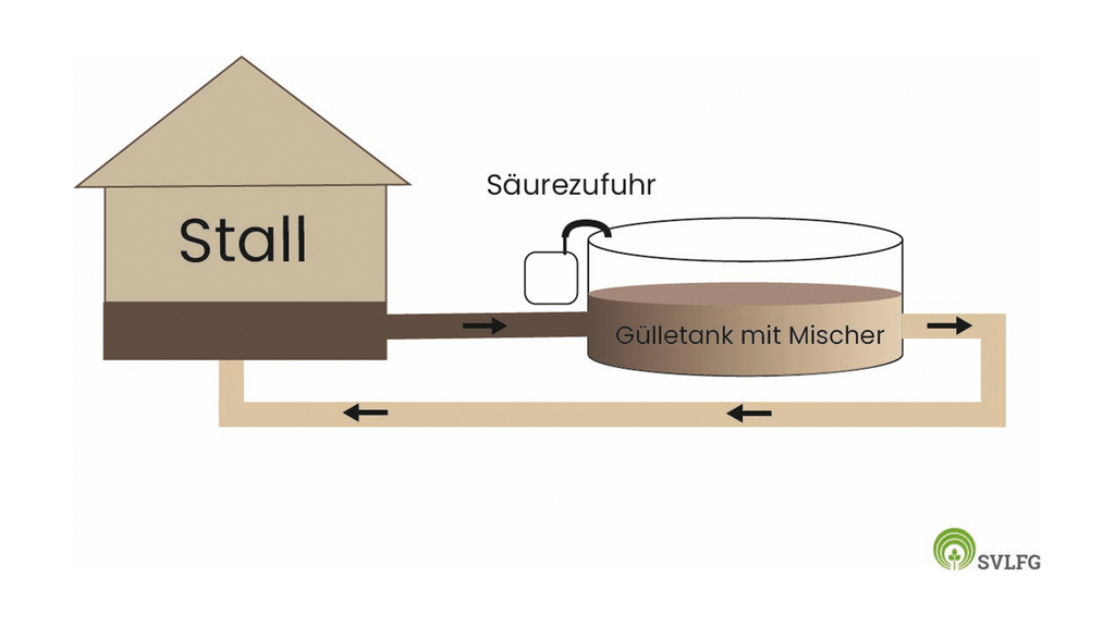 Vergrößerung des Bildes für .