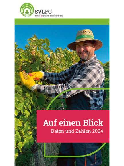 Vergrößerung des Bildes für Winzer bei der Ernte von Trauben schaut in die Kamera und lächelt..