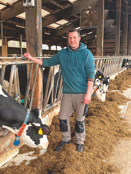 Vergrößerung des Bildes für Junger Landwirt steht im Rinderstall und schaut in die Kamera. Zu seiner Rechten Rinder im Fangfressgitter..