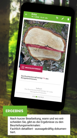 Vergrößerung des Bildes für Baumrinde auf einem Handy Display zu sehen. Drunter steht "Ergebnis". Es ist ein Abbild der Stockfibel App..