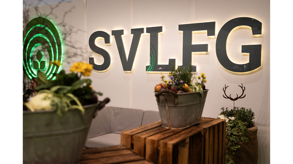 Vergrößerung des Bildes für .