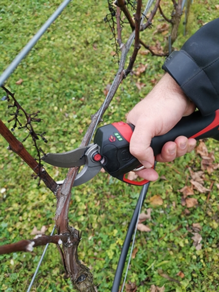 Vergrößerung des Bildes für Eine Hand hält eine Akkuschere.