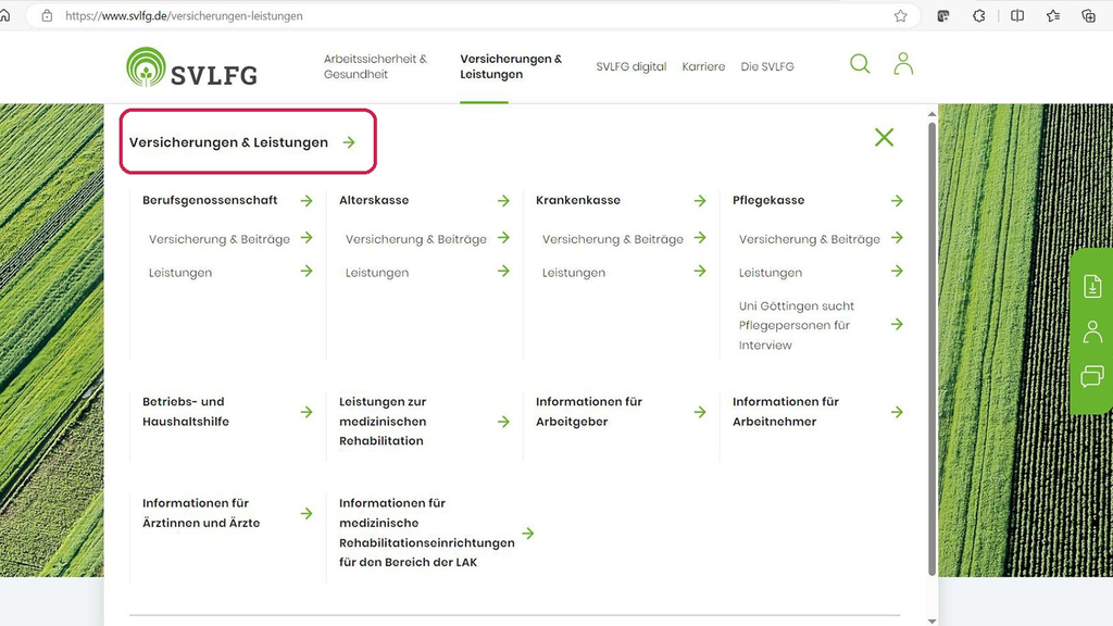 Vergrößerung des Bildes für Ausschnitt vom Flyout-Menü Versicherung und Leistung.
